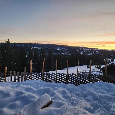 Skogbrynet *