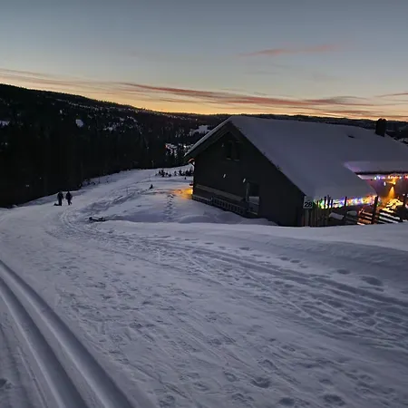Holiday home Skogbrynet