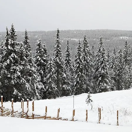 Skogbrynet Holiday home *