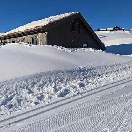 Skogbrynet * Svingvoll