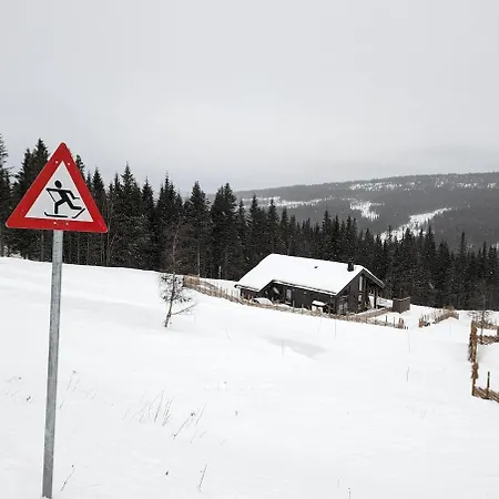 Skogbrynet Holiday home *