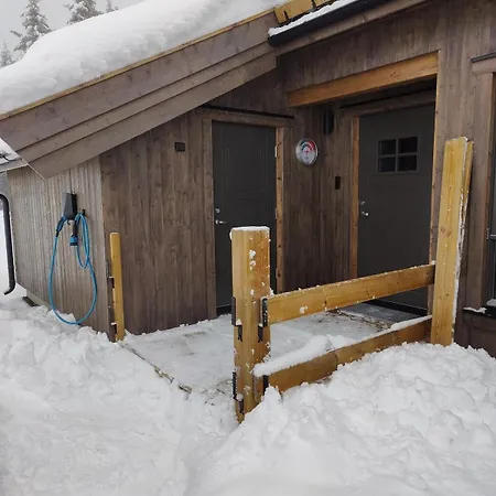 Skogbrynet *