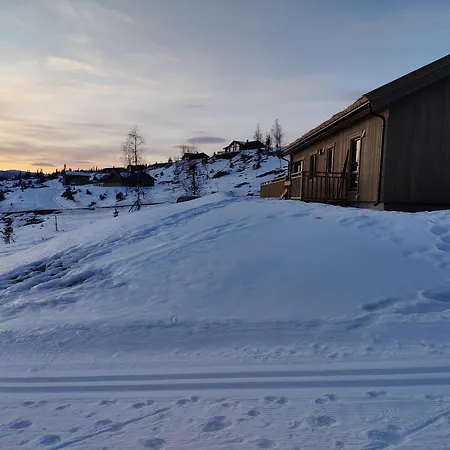 Skogbrynet Svingvoll