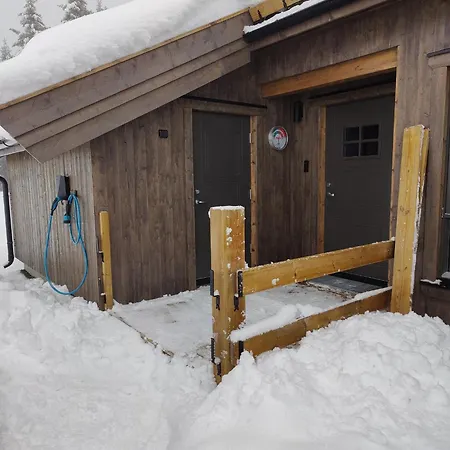 Skogbrynet