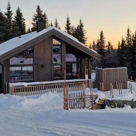 Skogbrynet