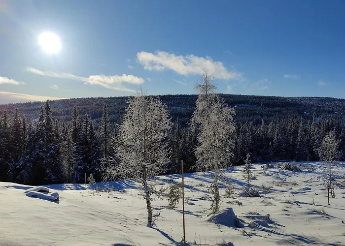 Skogbrynet * Svingvoll