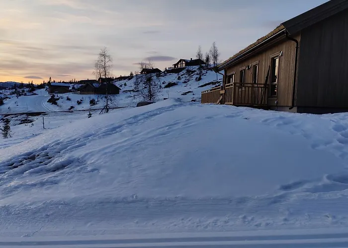 Skogbrynet Svingvoll
