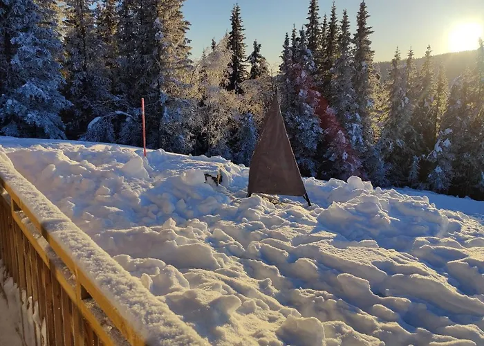 Feriehus Skogbrynet Svingvoll