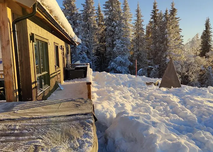 Skogbrynet Feriehus *