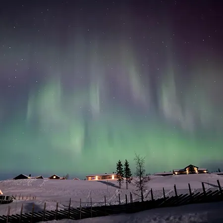 Hébergement de vacances Skogbrynet Svingvoll
