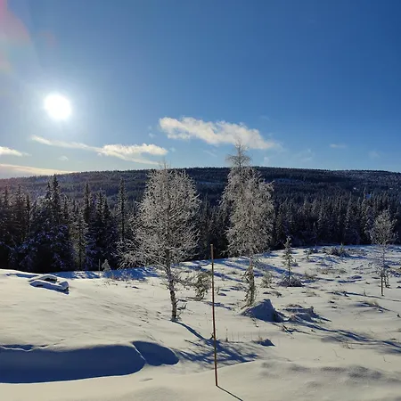 Skogbrynet * Svingvoll