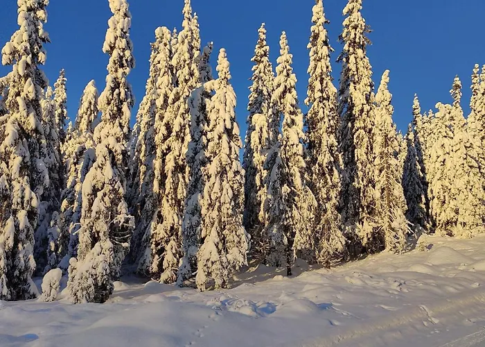 Hébergement de vacances Skogbrynet Svingvoll